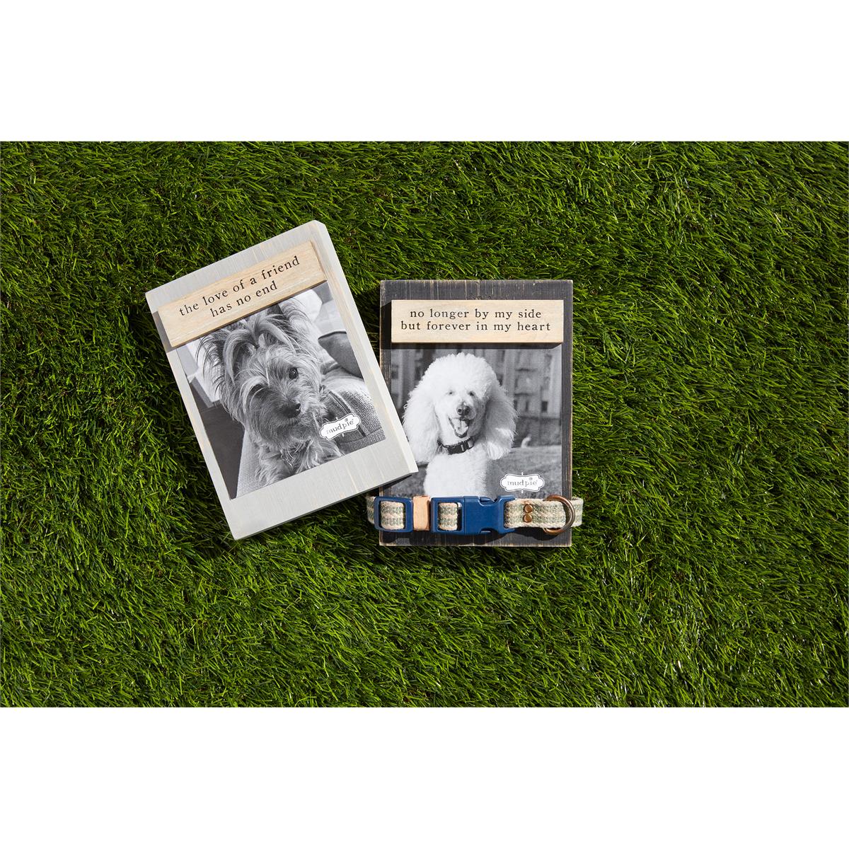 Pet Collar Keepsake Frame