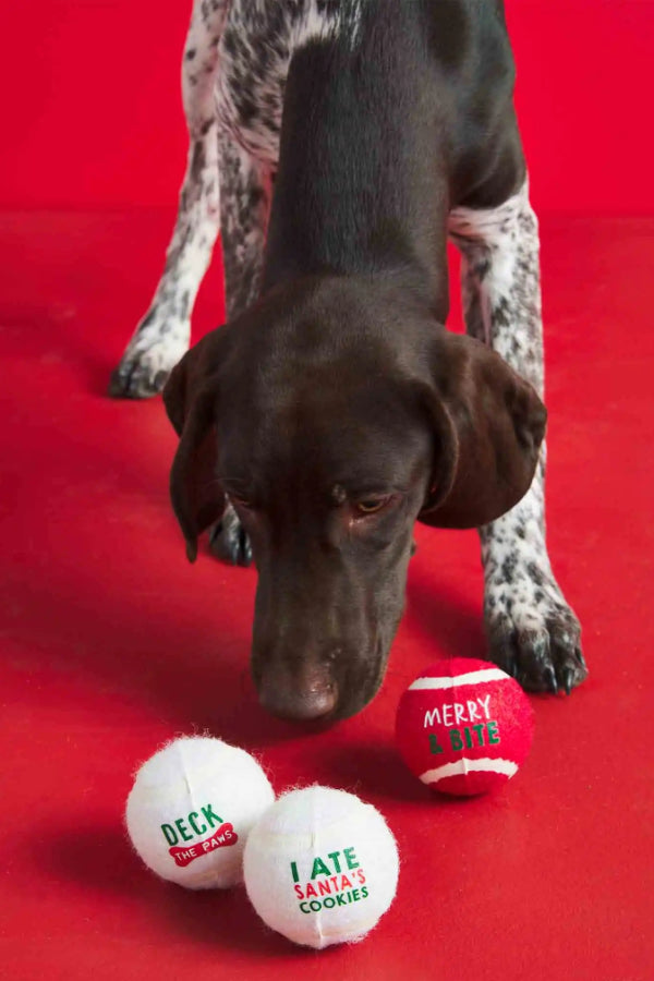 Christmas Tennis Ball Dog Toy