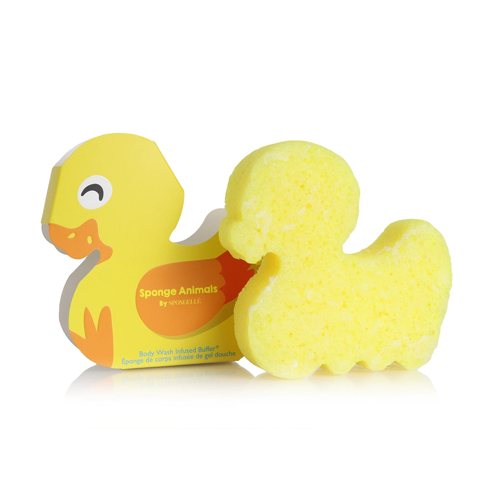 Sponge Animals