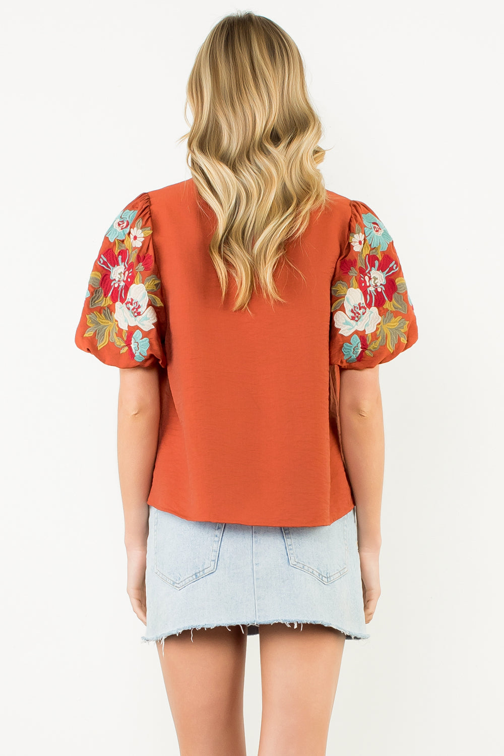 Amber Embroidered V-neck Top