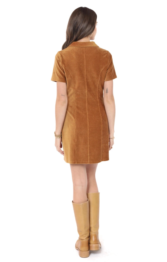 Morrison Zip Front Mini Dress