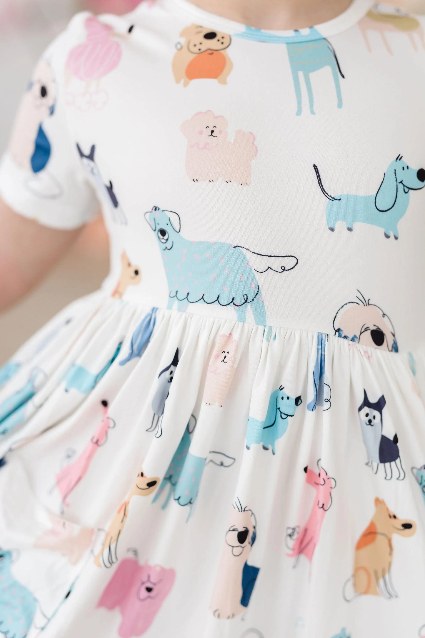 Puppy Pals Pocket Twirl Dress