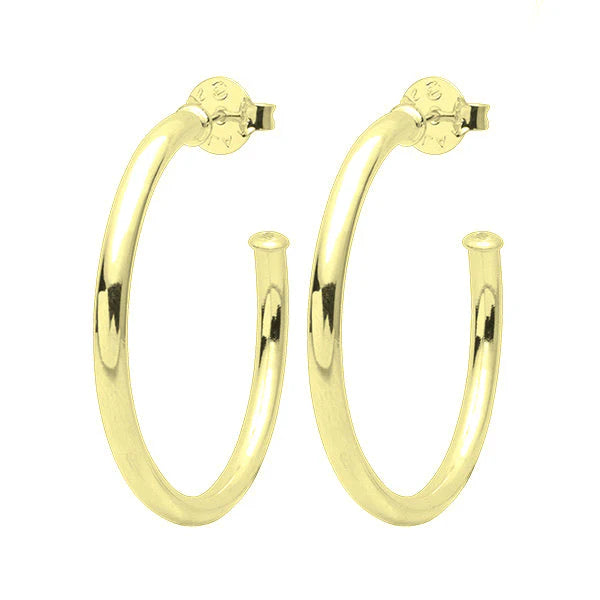 Shelia Fajl Small Everybody's Favorite Hoops