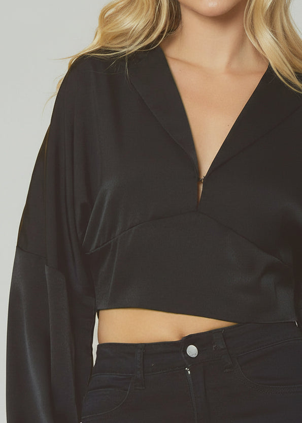 Satin V-Neck Collard Blouse