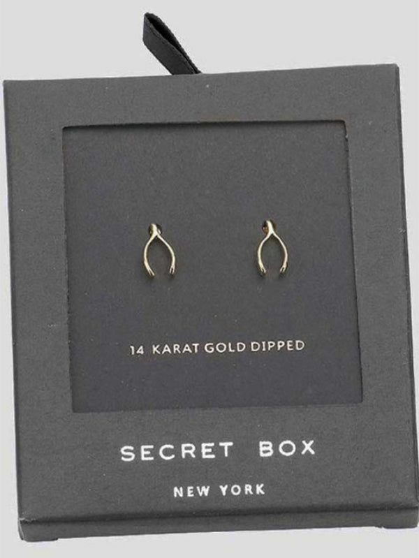 Secret Box Wishbone Stud Earring