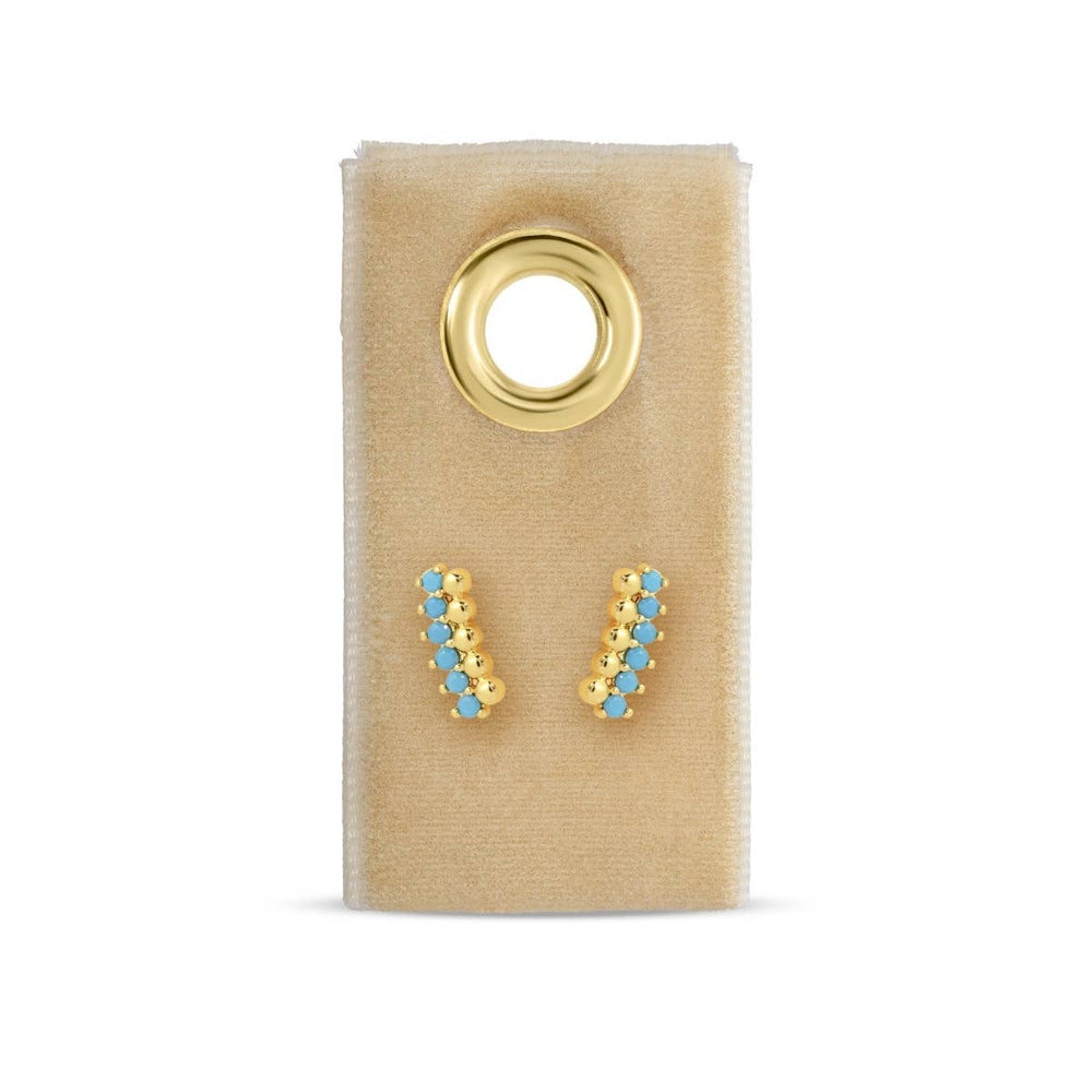 Delicate Dots & CZ Studs On Velvet Tag