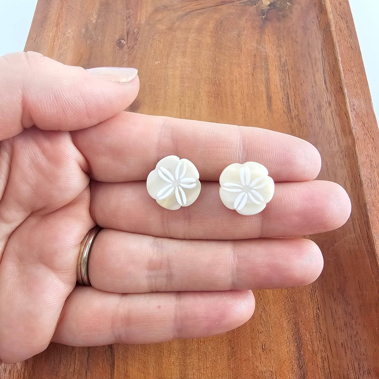 Sand Dollar Studs