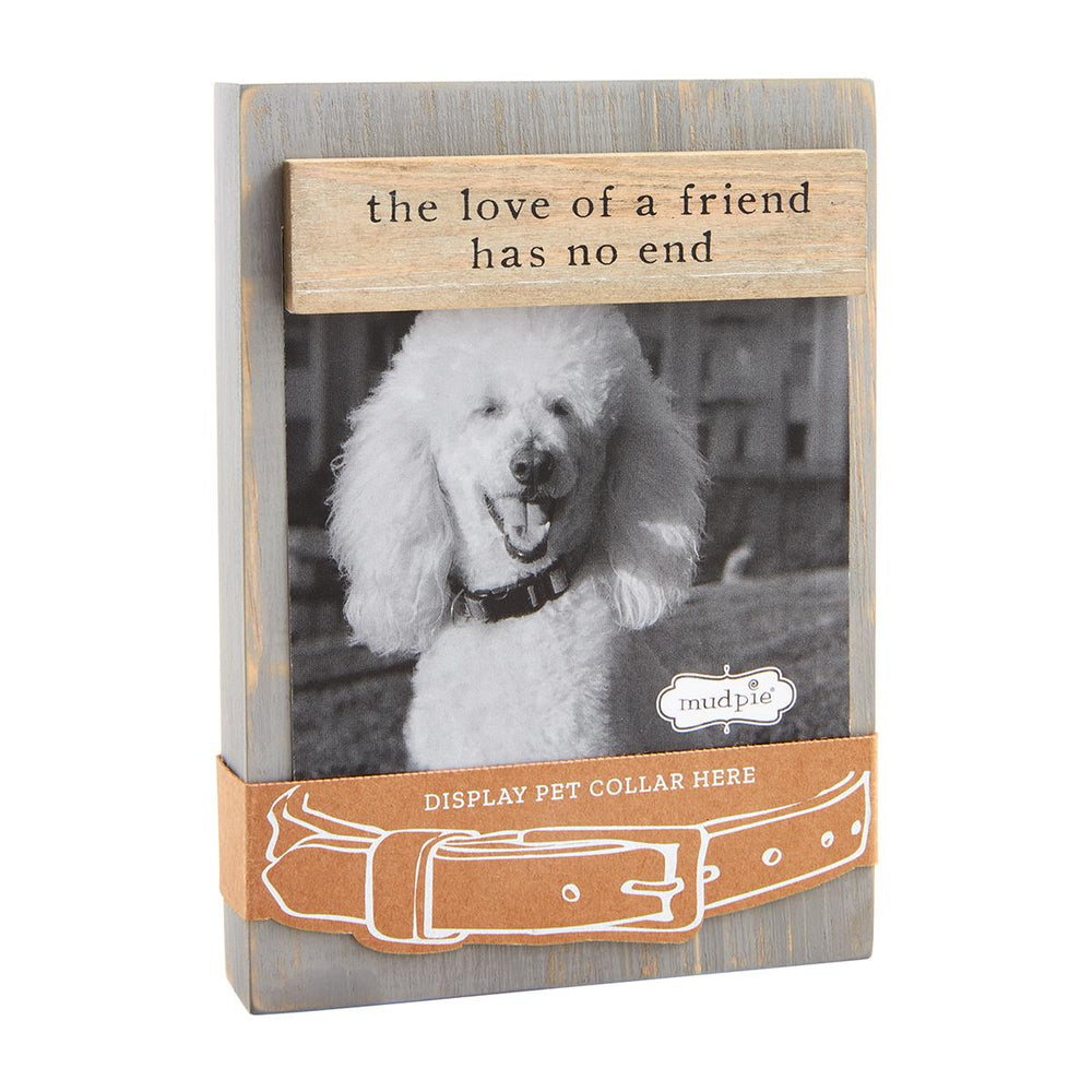 Pet Collar Keepsake Frame