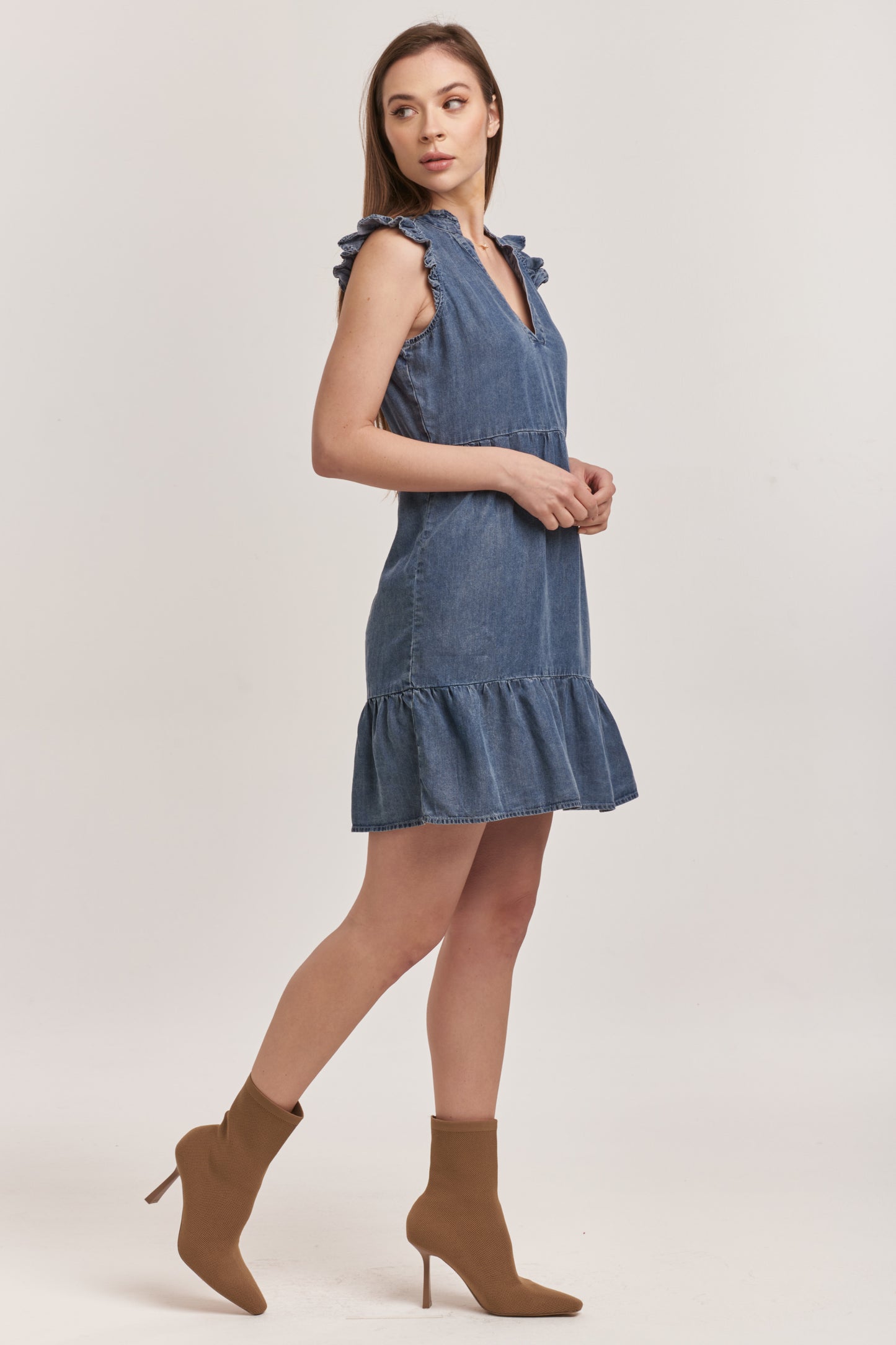 Berenice Denim Dress