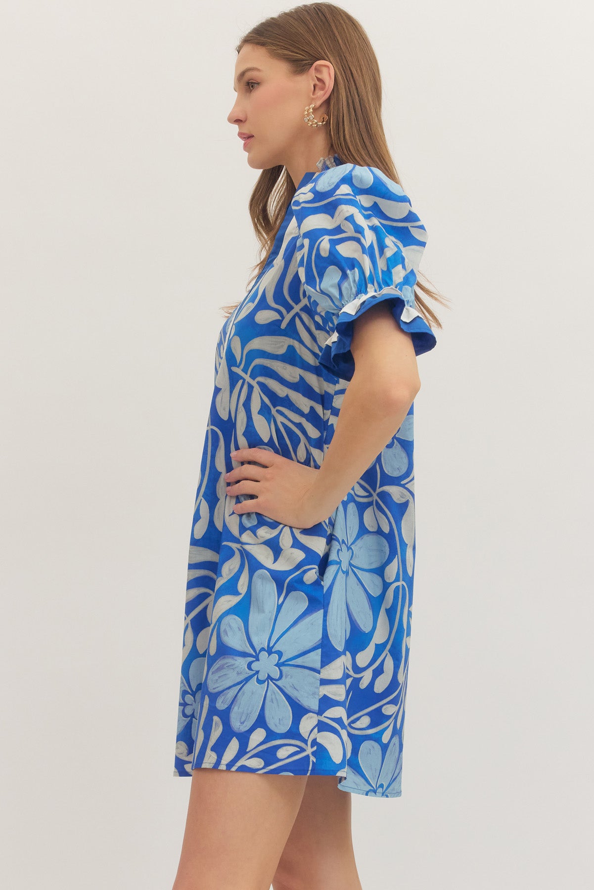 Blue Beauty Dress