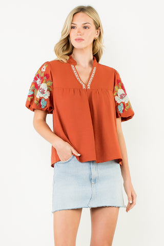 Amber Embroidered V-neck Top