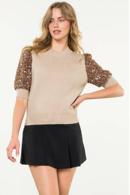 Sequin Sleeve Knit Top