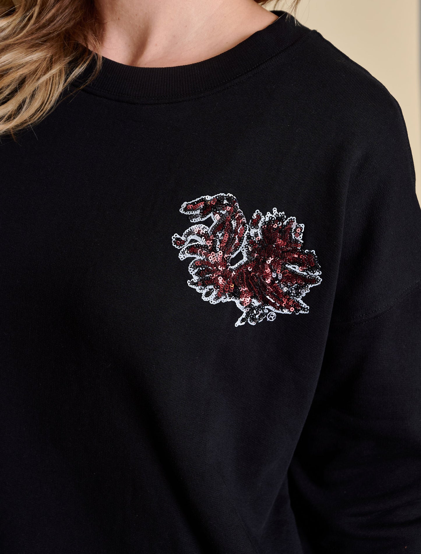 The Sequin Boxy Sweatshirt | South Carolina