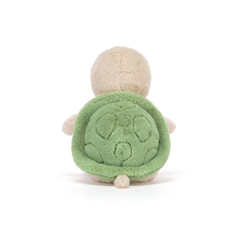 Thimble Turtle