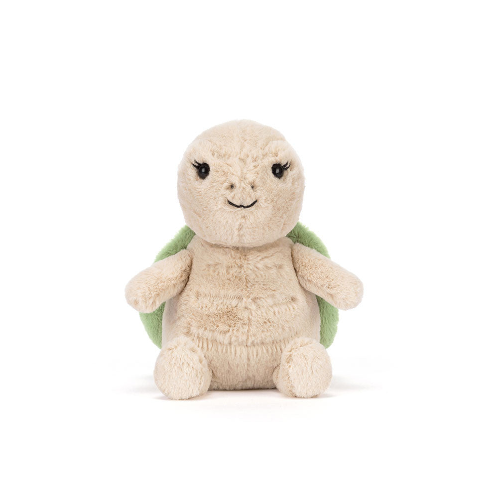 Thimble Turtle