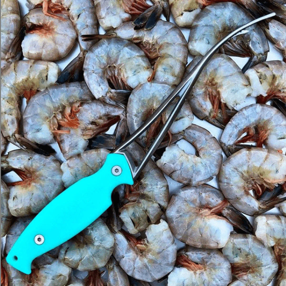 Frogmore Shrimp Cleaner