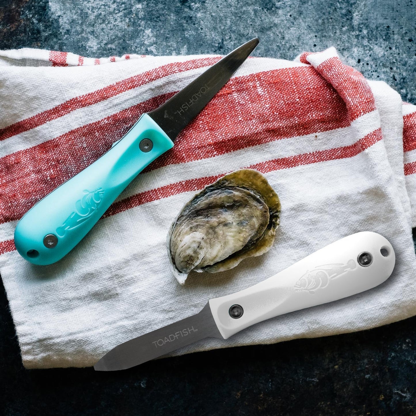Professional Edition Oyster Knife