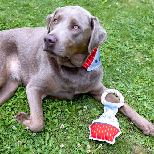 Canvas Dog Toys