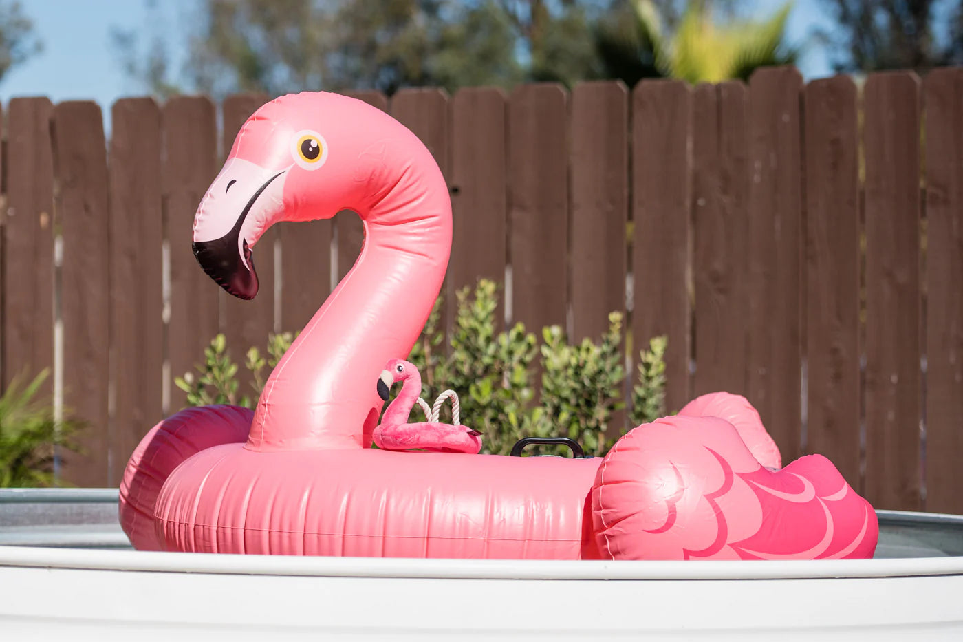 Inflatable pink flamingo pool float on a pool with a wooden fence and plants in the background