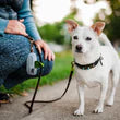 Proper Pup Poop Bag Dispenser