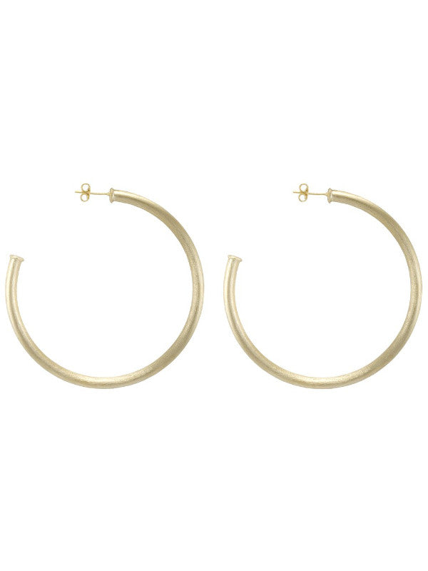 Shelia Fajl Everybody's Favorite Hoops